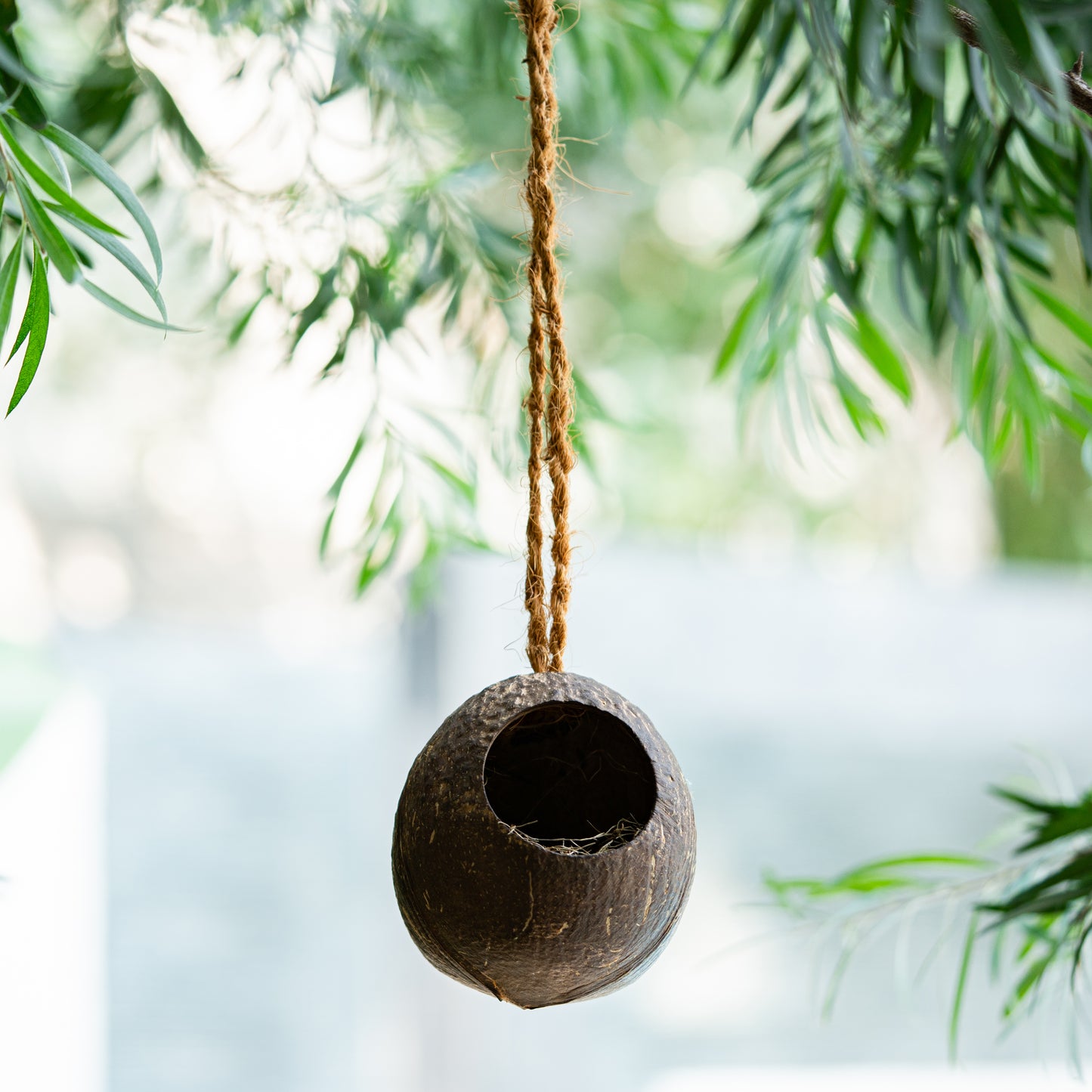 Natchu's Coconut Shell based Bird Feeder & Bird Nest (Set of 1 each)