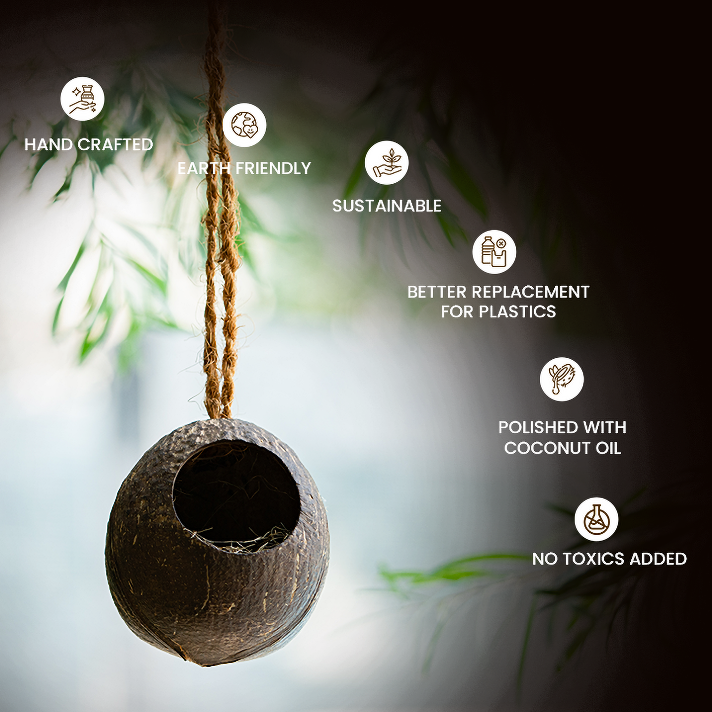 Natchu's Coconut Shell based Bird Feeder & Bird Nest (Set of 1 each)
