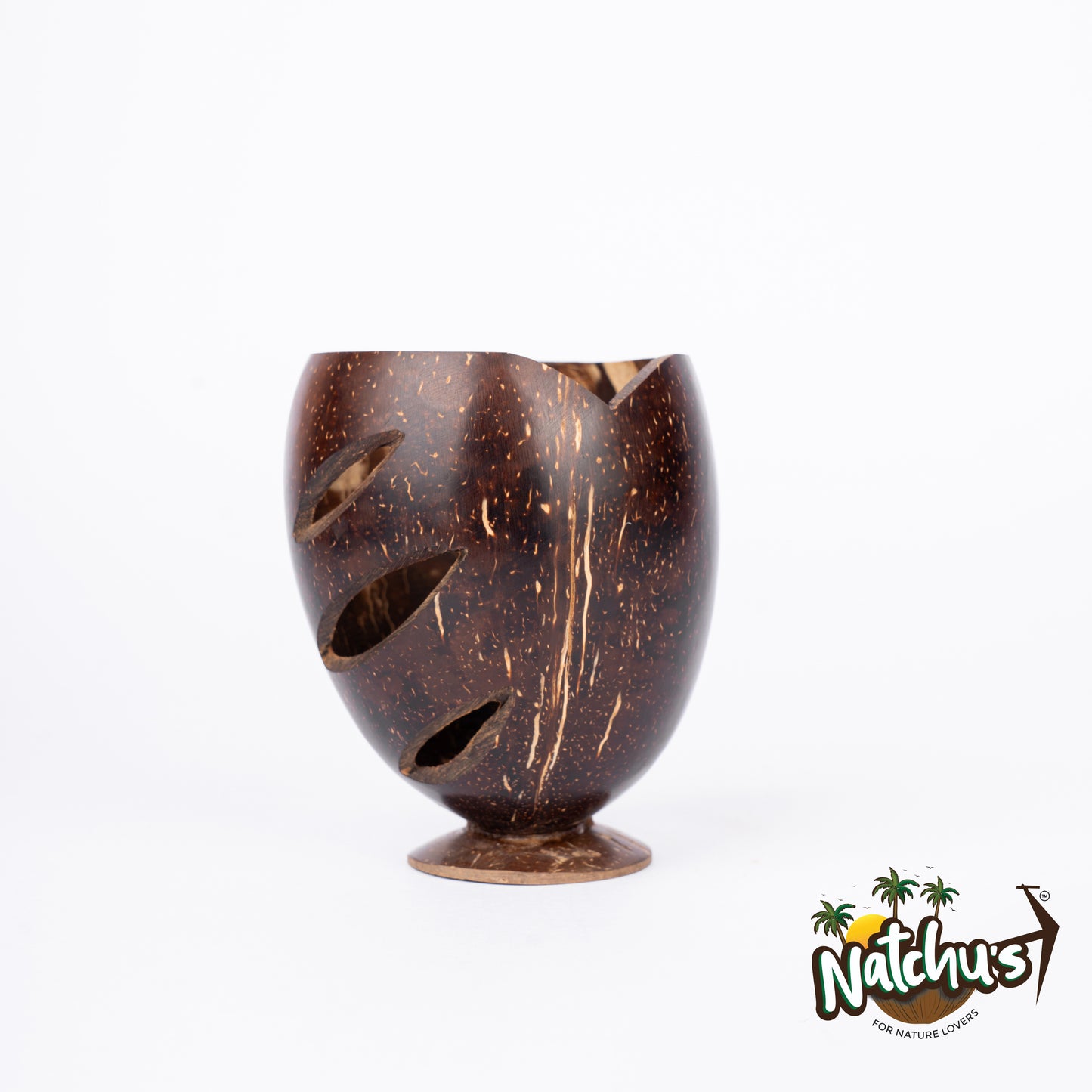 Natchu's Coconut Shell based Pen Stand (Set of 1)