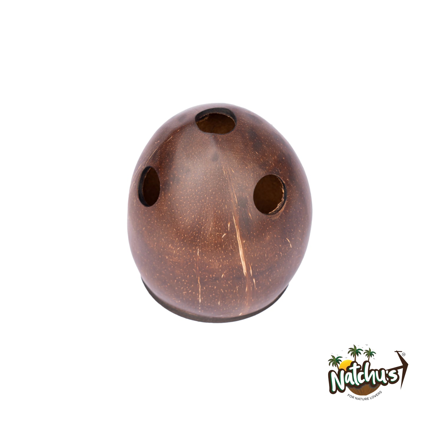 Natchu's Coconut Shell based Tooth Brush Holder (Set of 1)