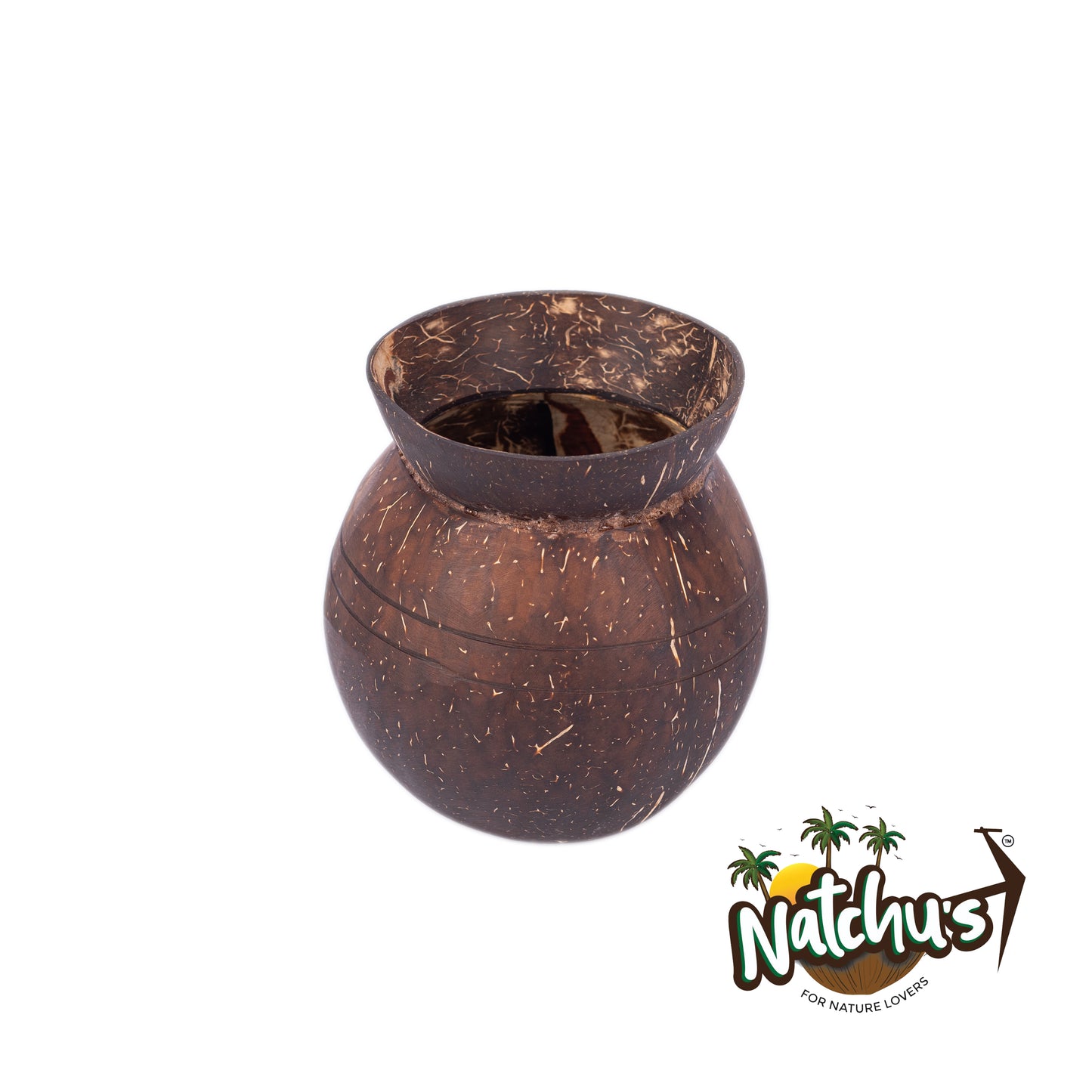 Natchu's Coconut Shell based Indoor Planter Pot Shape (Set of 1)