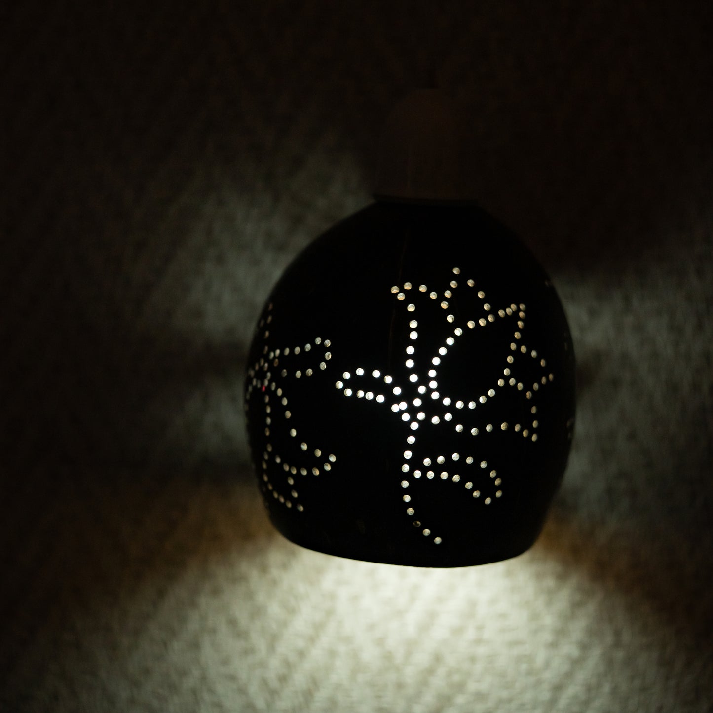Natchu's Coconut Shell based Hanging Lamp with Bulb Holder (Set of 1)