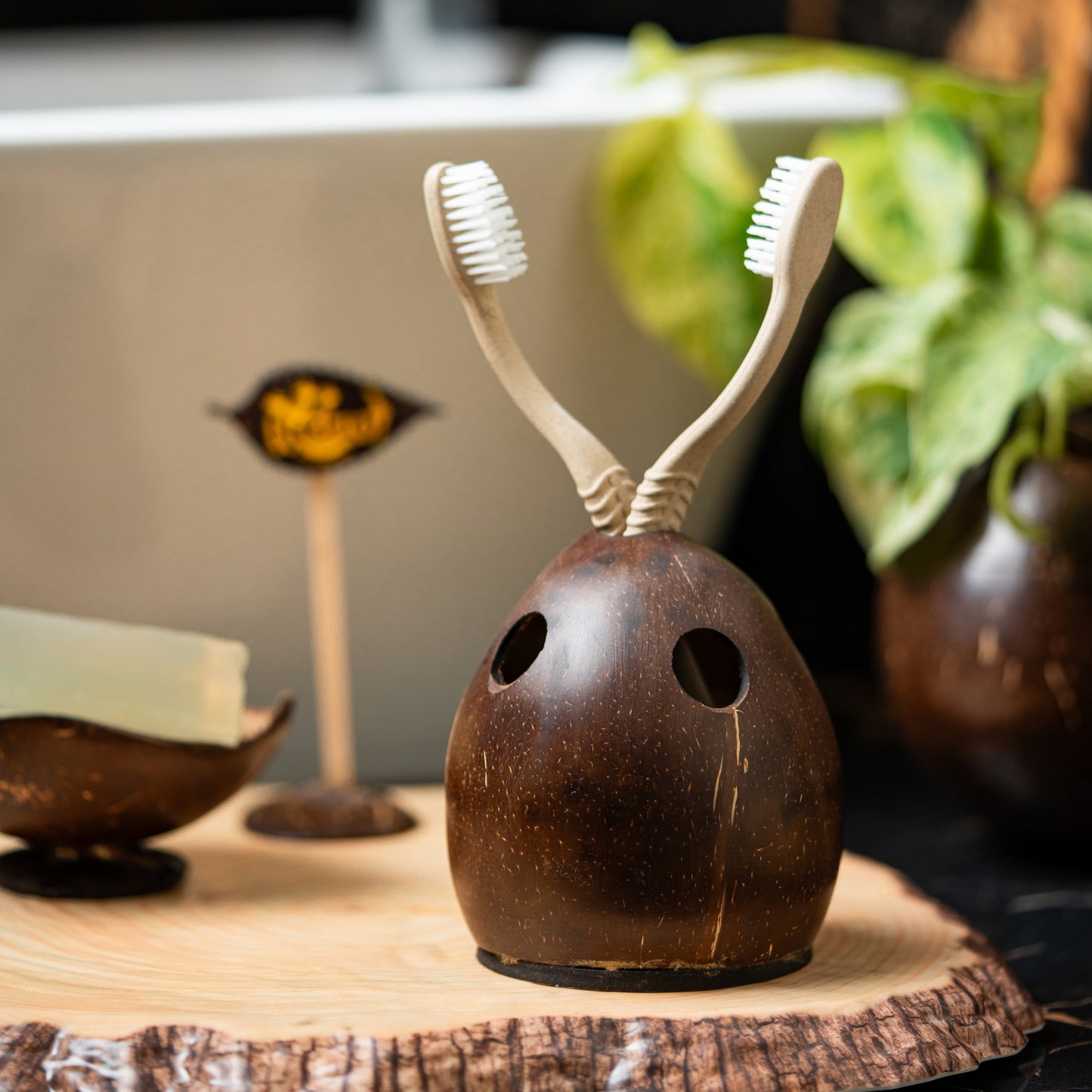 Natchu's Coconut Shell based Tooth Brush Holder (Set of 1)