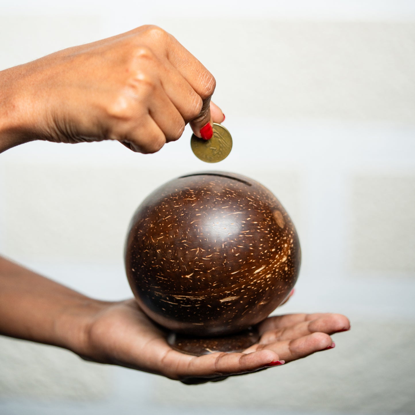 Natchu's Coconut Shell based Piggy Bank (Set of 1)