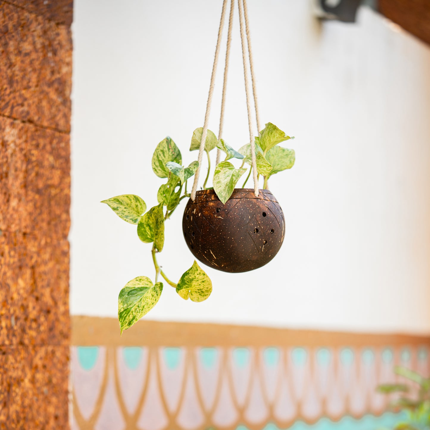 Natchu's Coconut Shell based Outdoor Planter - 1-Tier (Set of 1)