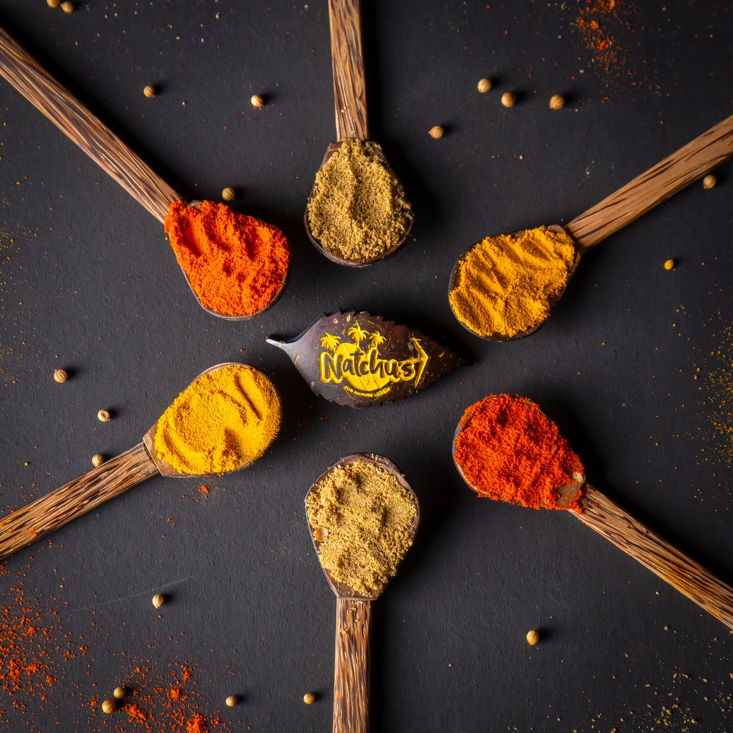 Natchu's Coconut Shell and wood based Masala Spoon (Set of 6)
