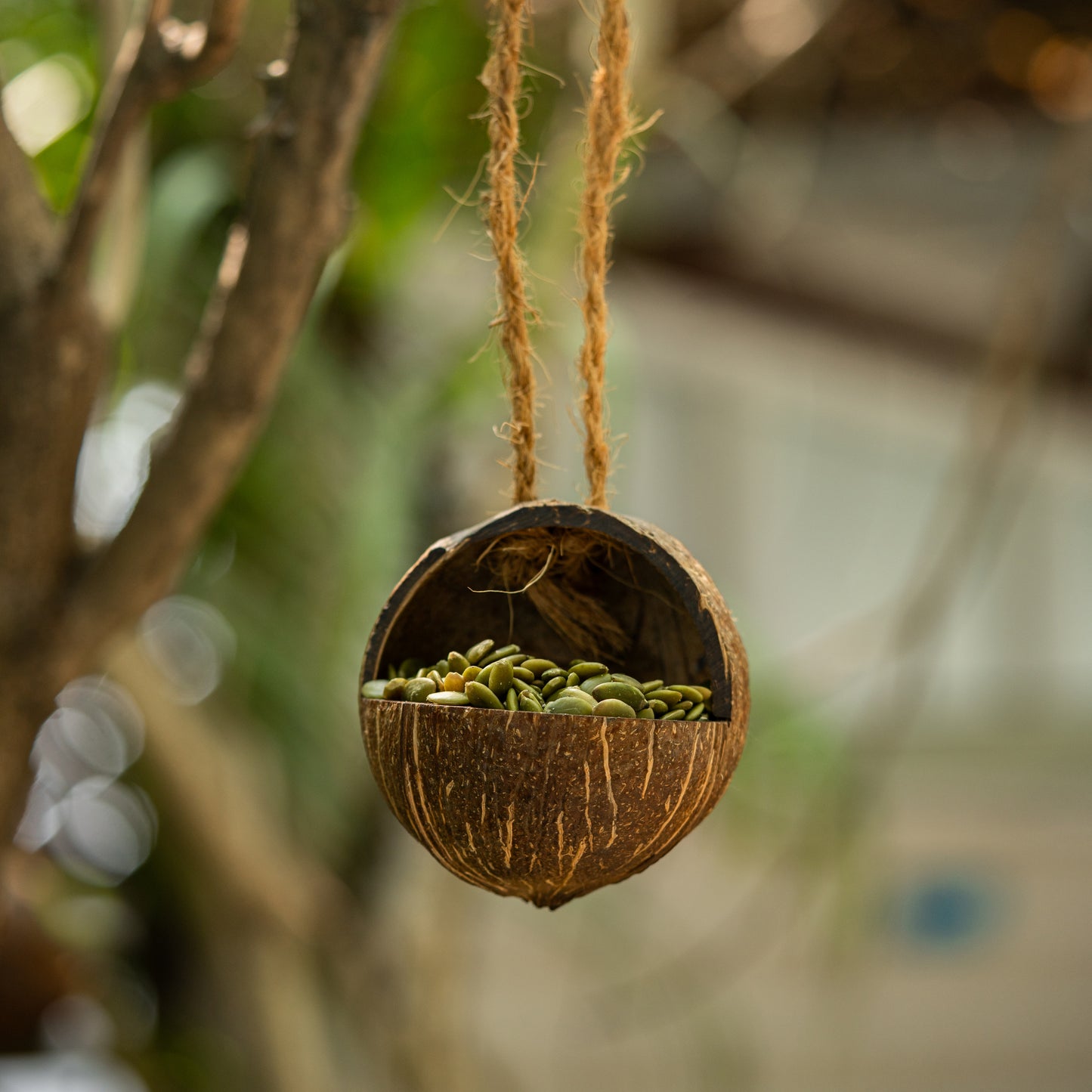 Natchu's Coconut Shell based Bird Feeder & Bird Nest (Set of 1 each)