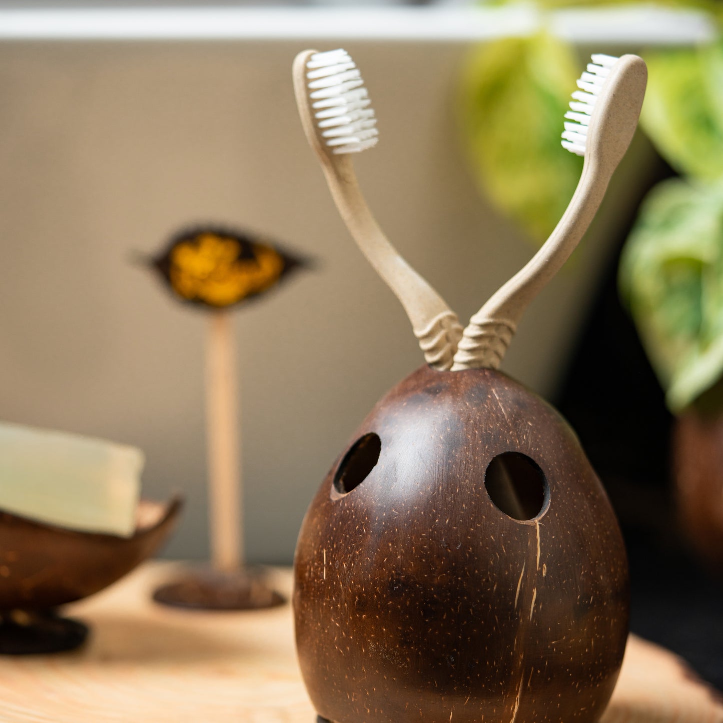 Natchu's Coconut Shell based Tooth Brush Holder (Set of 1)