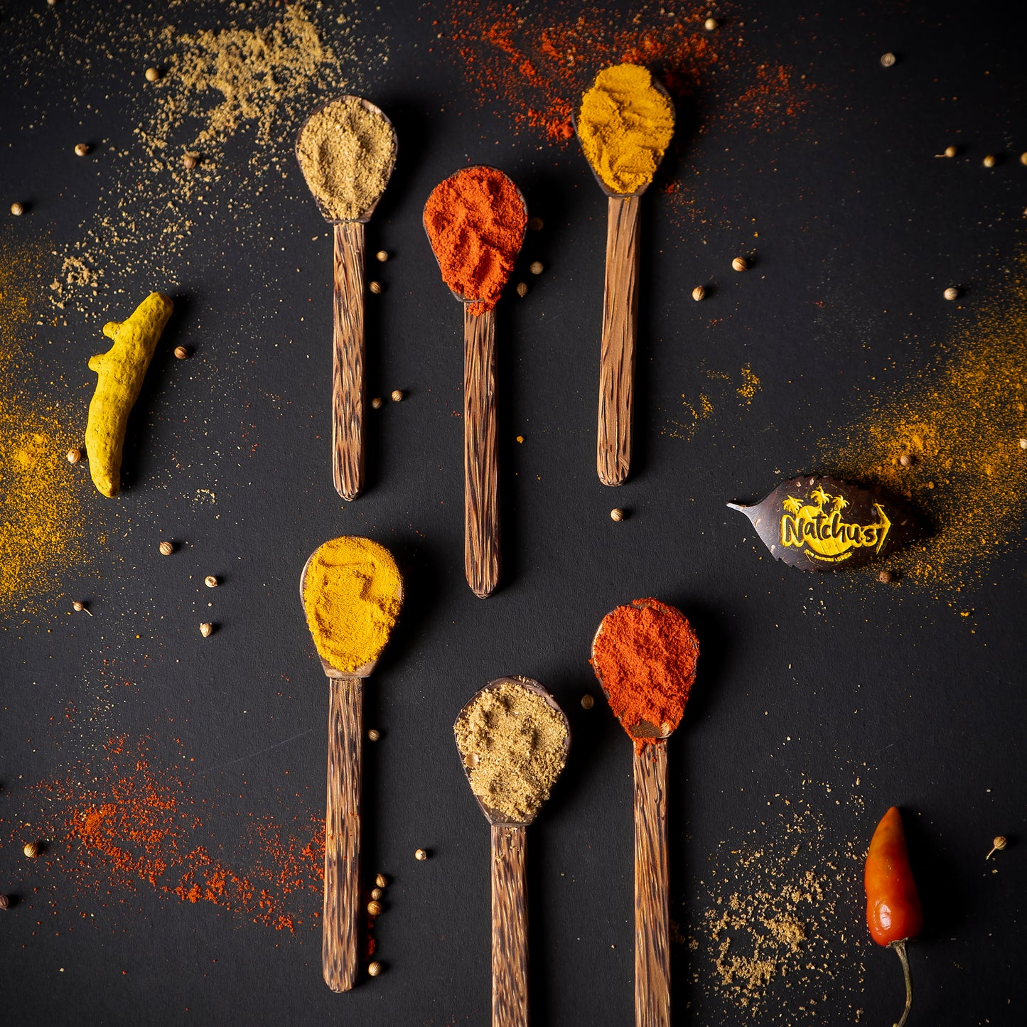 Natchu's Coconut Shell and wood based Masala Spoon (Set of 6)