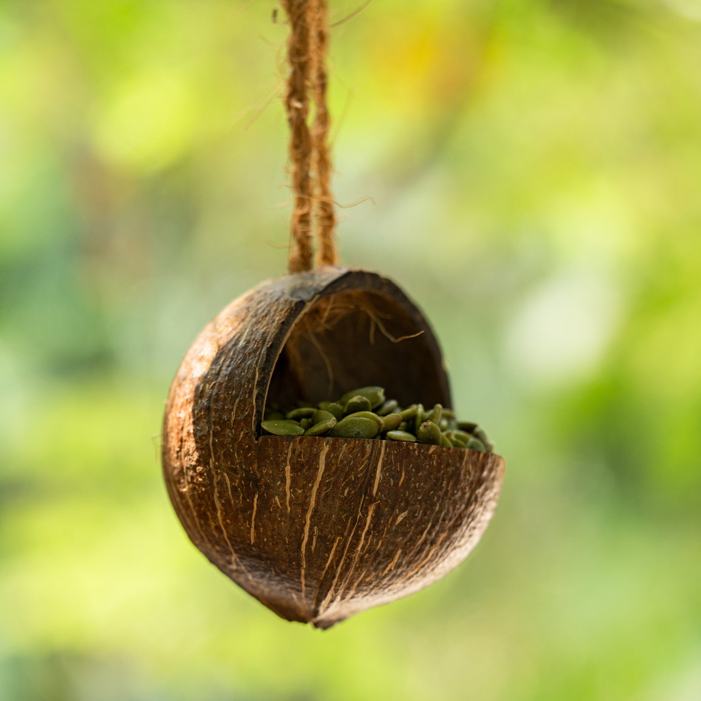 Natchu's Coconut Shell based Bird Feeder & Bird Nest (Set of 1 each)