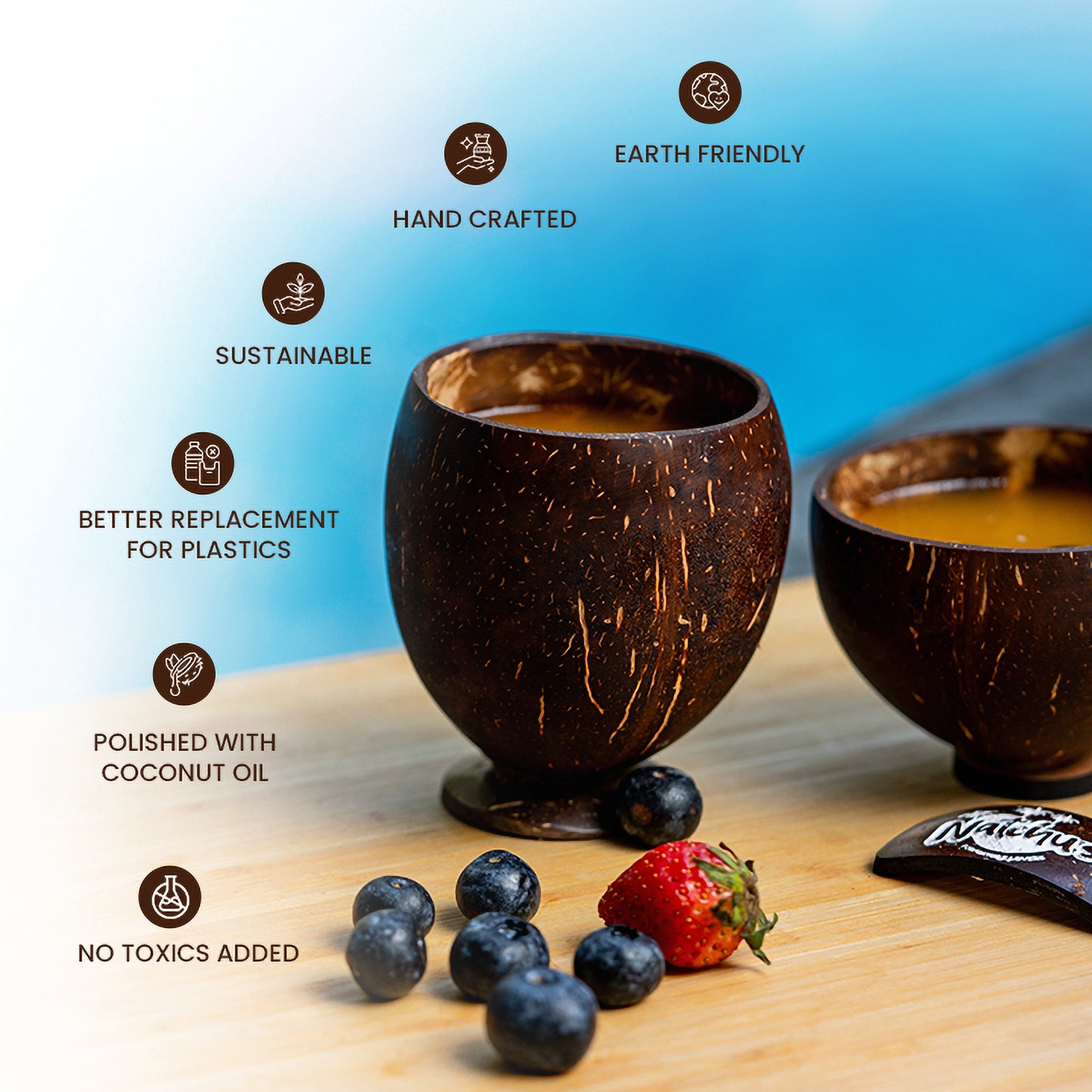 Natchu's Coconut Shell based juice Cup (250ml) (set of 2)