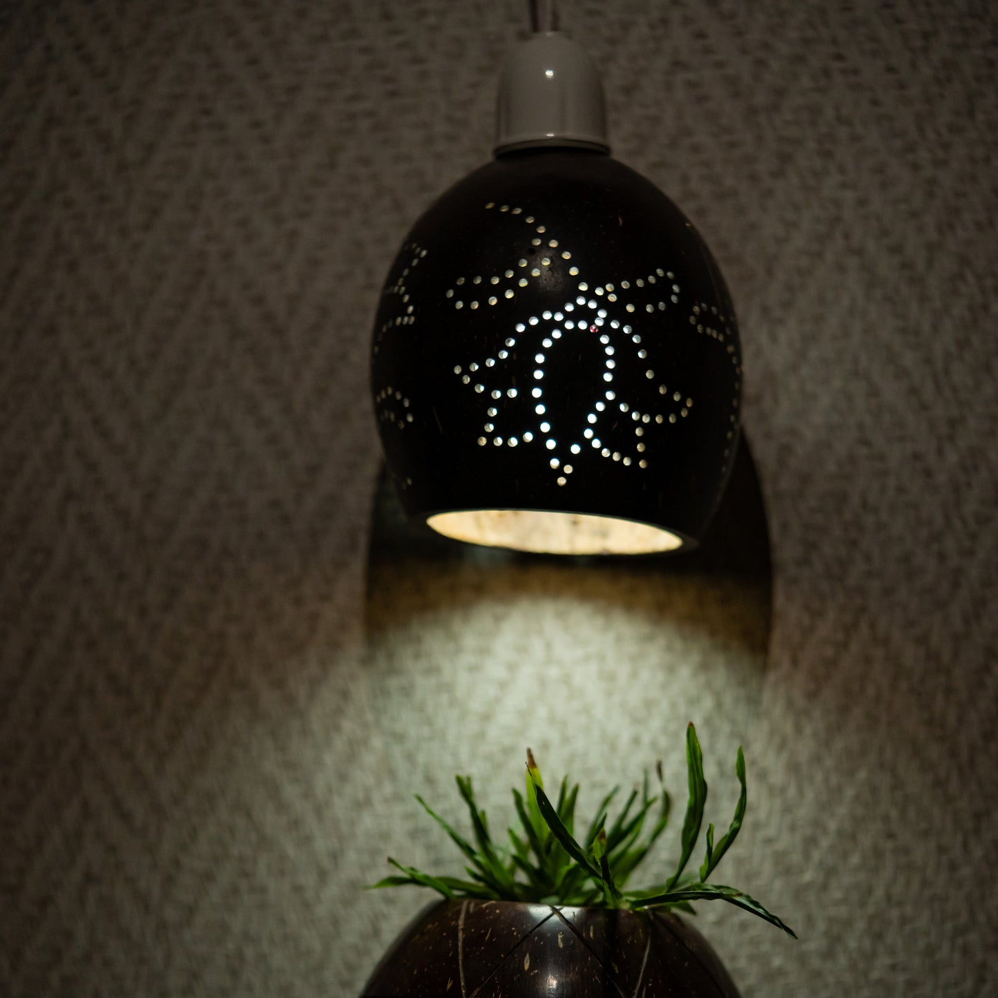 Natchu's Coconut Shell based Hanging Lamp with Bulb Holder (Set of 1)