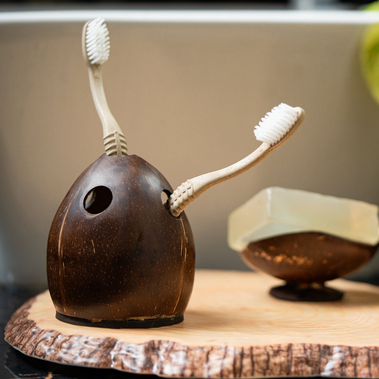 Natchu's Coconut Shell based Tooth Brush Holder (Set of 1)