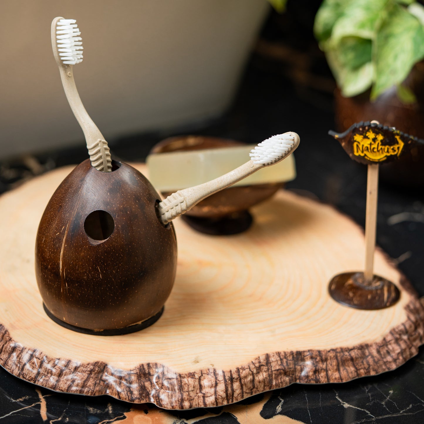 Natchu's Coconut Shell based Tooth Brush Holder (Set of 1)