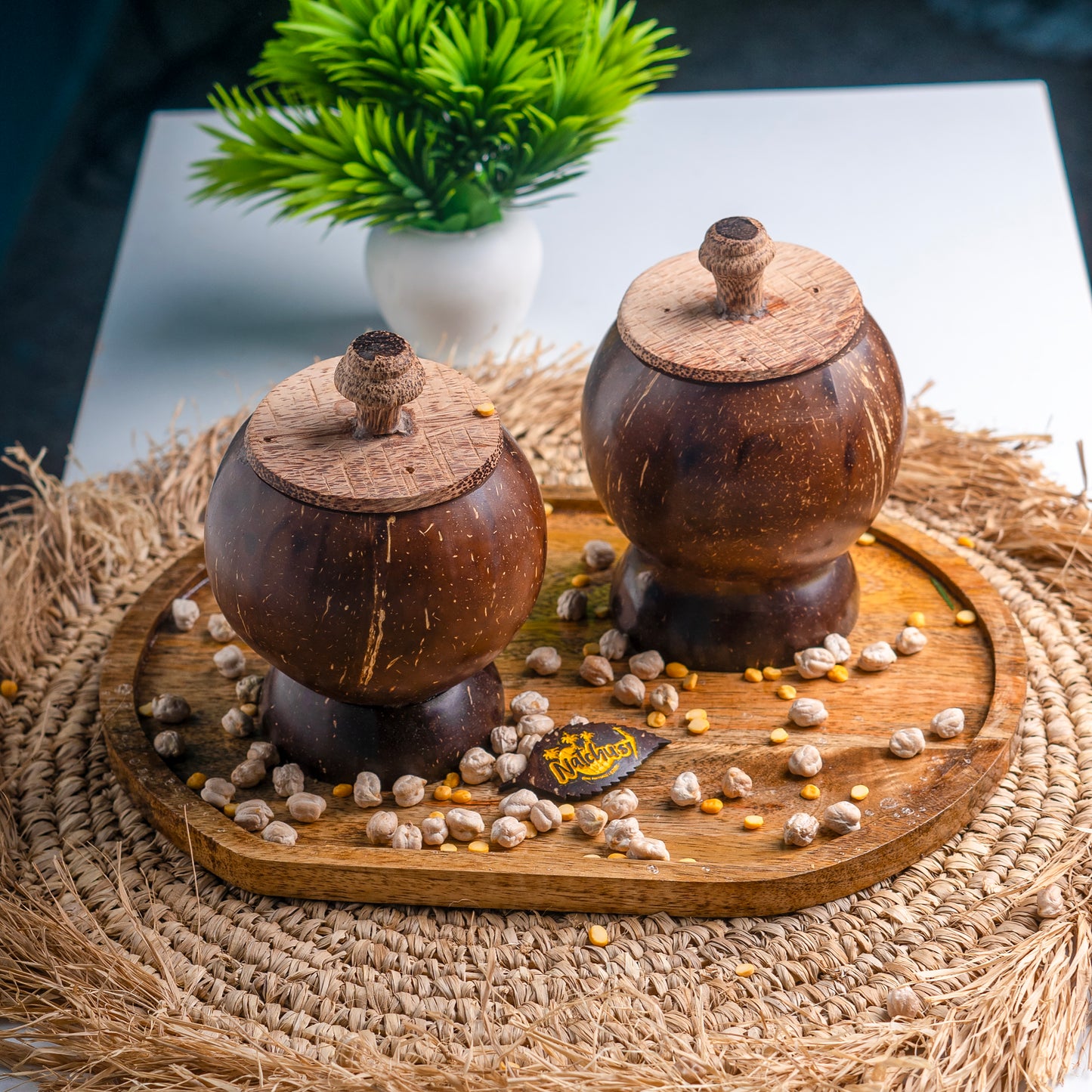 Natchu's Coconut Shell based container with Coconut wood lid (300ml) (Set of 1)
