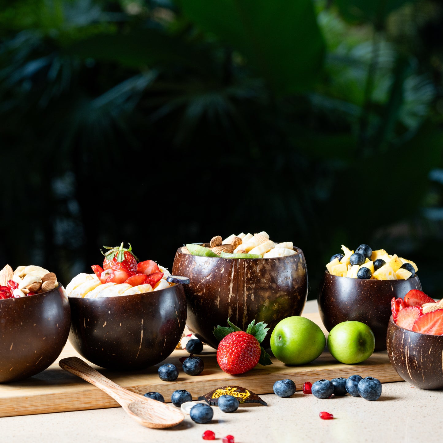 Natchu's Coconut Shell and wood based Glossy Bowl (150ml) & Spoon Combo (set of 2 each)