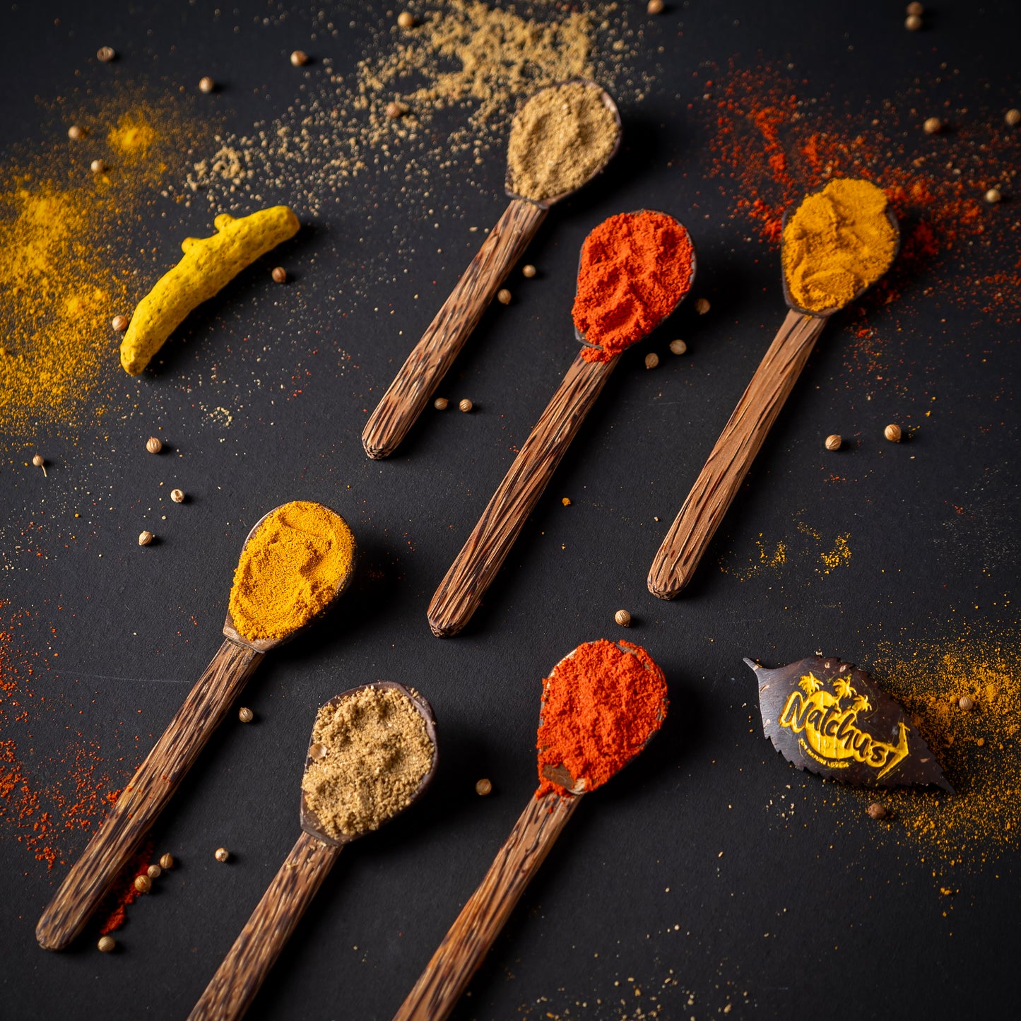Natchu's Coconut Shell and wood based Masala Spoon (Set of 6)