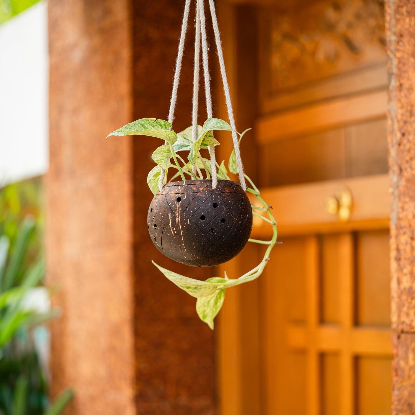 Natchu's Coconut Shell based Outdoor Planter - 1-Tier (Set of 1)