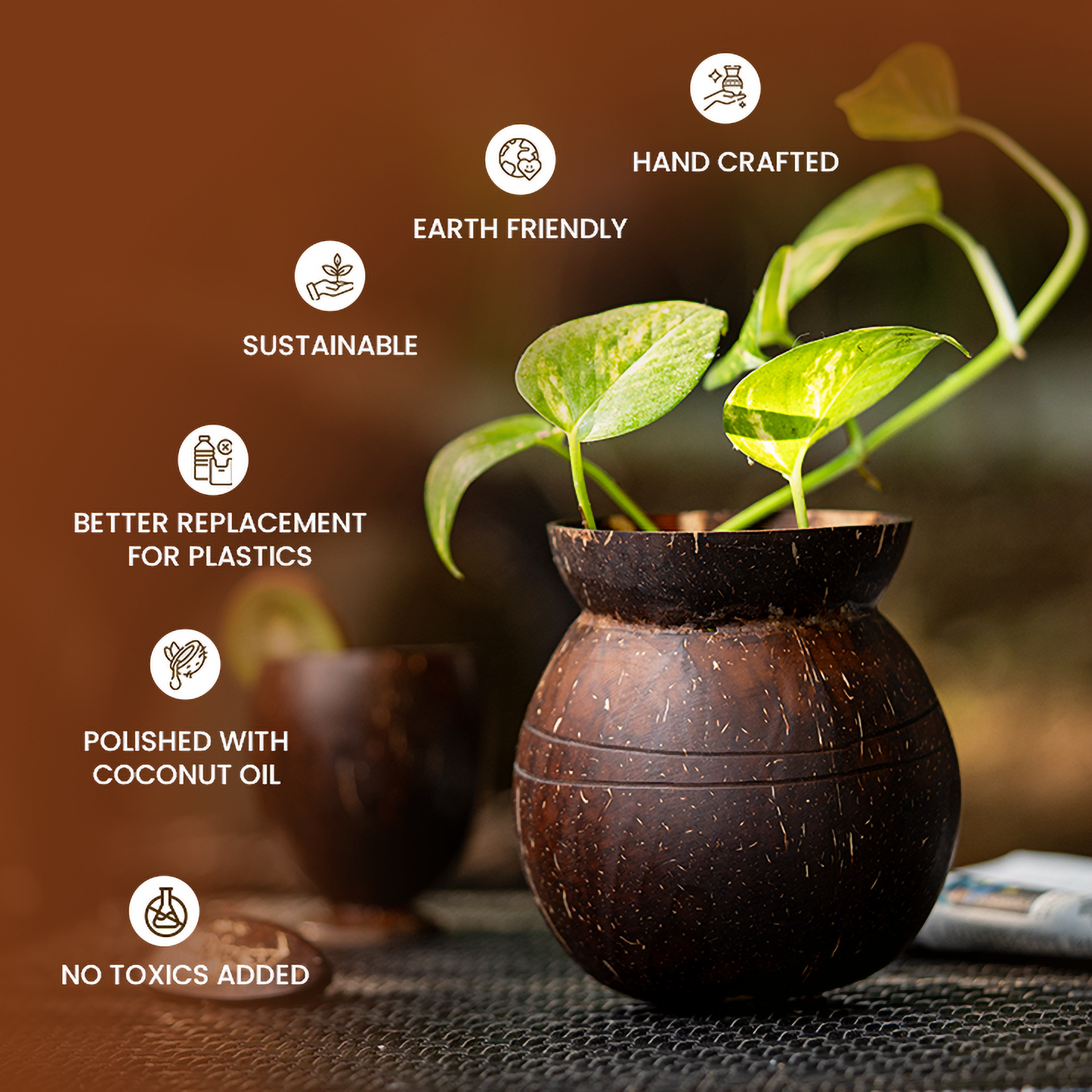 Natchu's Coconut Shell based Indoor Planter Pot Shape (Set of 1)