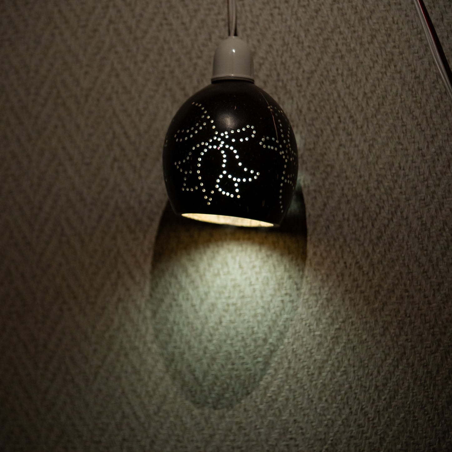 Natchu's Coconut Shell based Hanging Lamp with Bulb Holder (Set of 1)