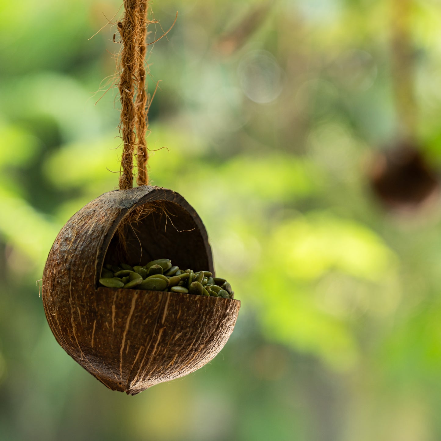 Natchu's Coconut Shell based Bird Feeder & Bird Nest (Set of 1 each)