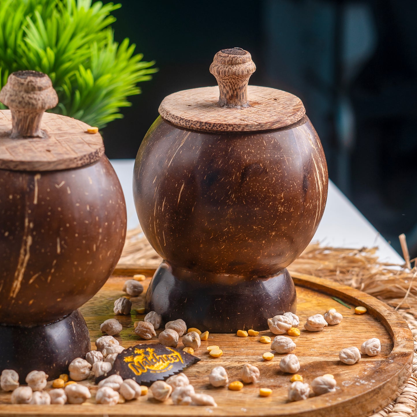 Natchu's Coconut Shell based container with Coconut wood lid (300ml) (Set of 1)