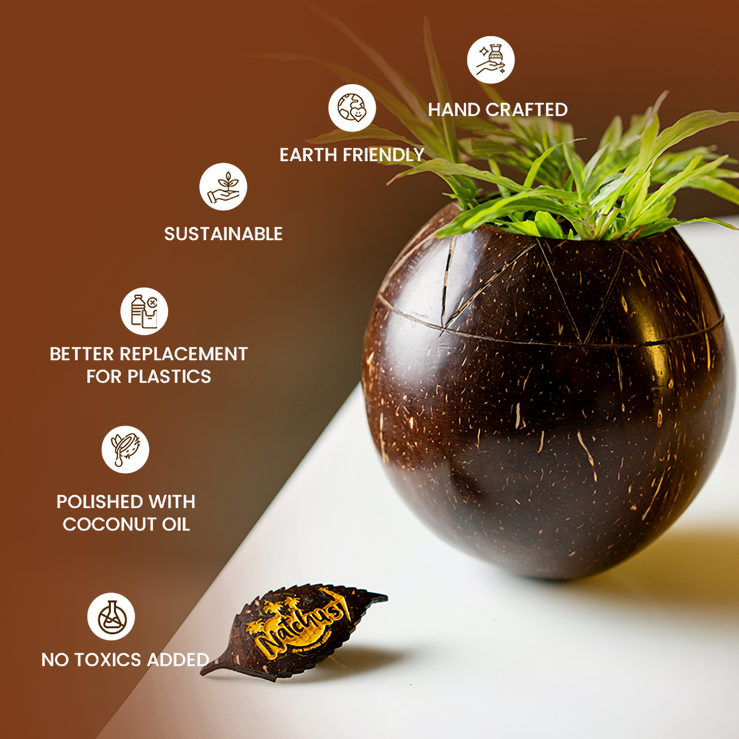 Natchu's Coconut Shell based Indoor Planter Bowl Shape (Set of 1)