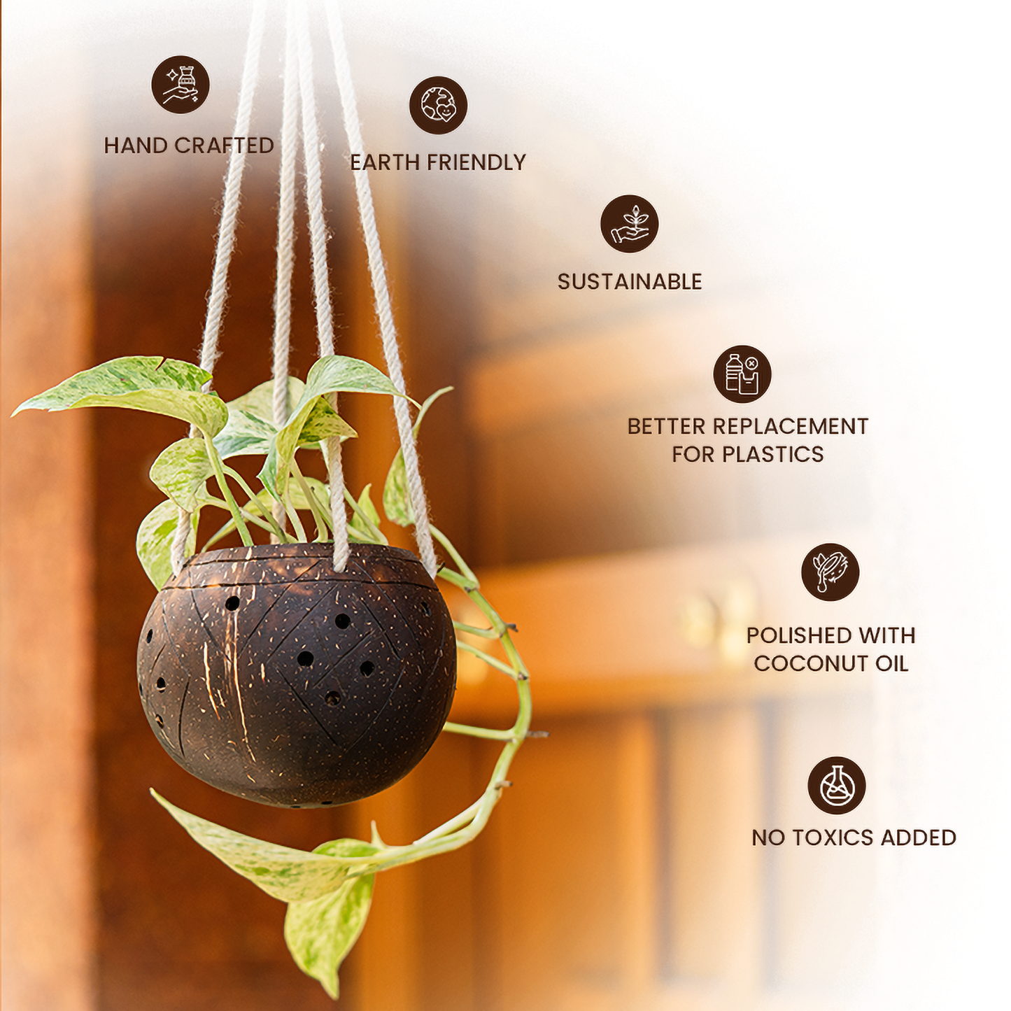 Natchu's Coconut Shell based Outdoor Planter - 1-Tier (Set of 1)