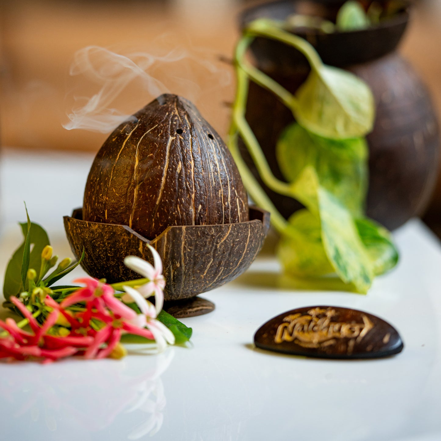 Natchu's Coconut Shell and Wood based Agarbatti Stand & Dhoop Stand Combo (Set of I each)