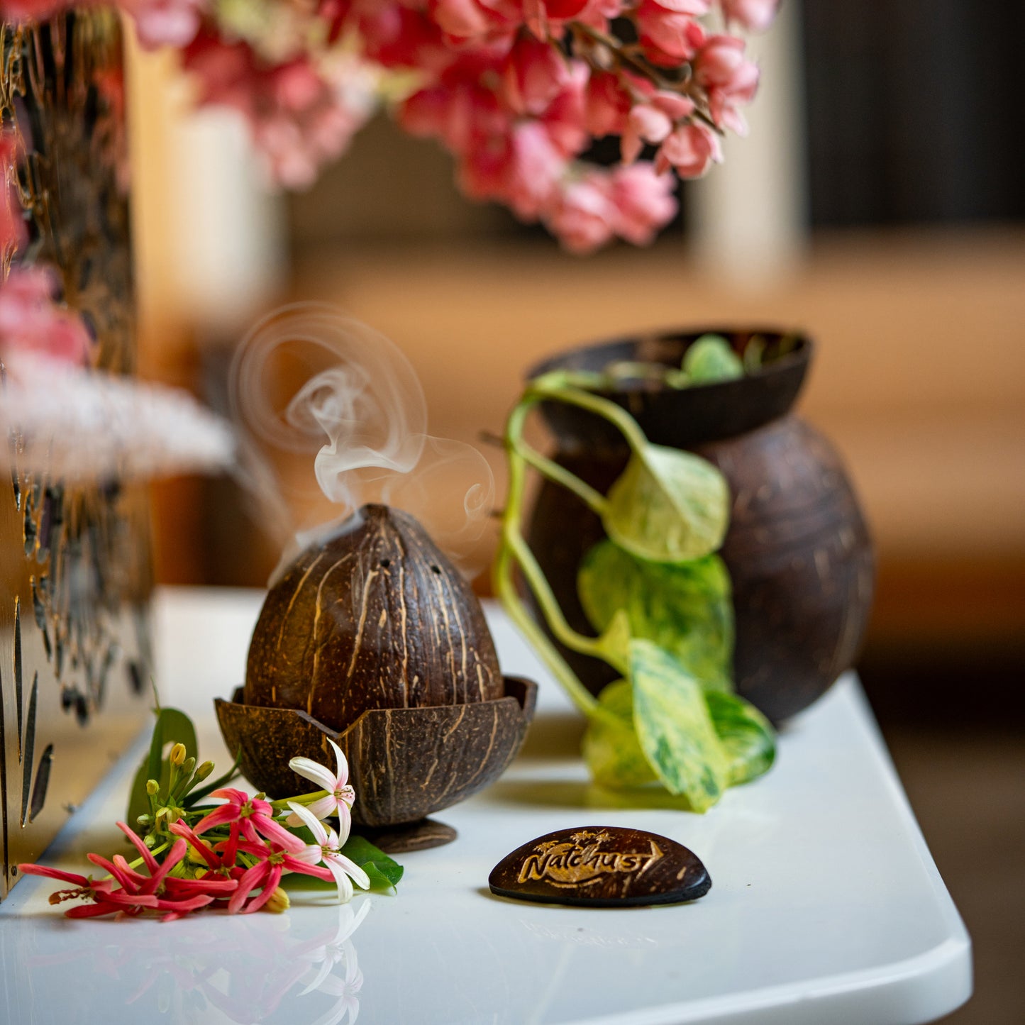 Natchu's Coconut Shell and Wood based Agarbatti Stand & Dhoop Stand Combo (Set of I each)