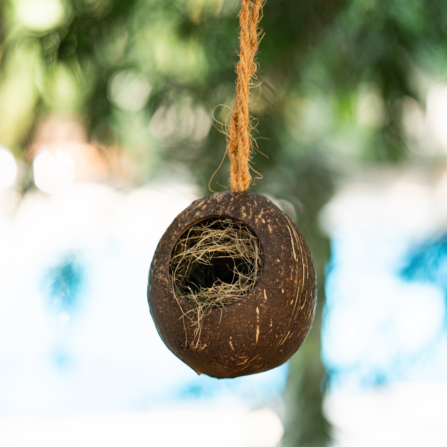 Natchu's Coconut Shell based Bird Feeder & Bird Nest (Set of 1 each)
