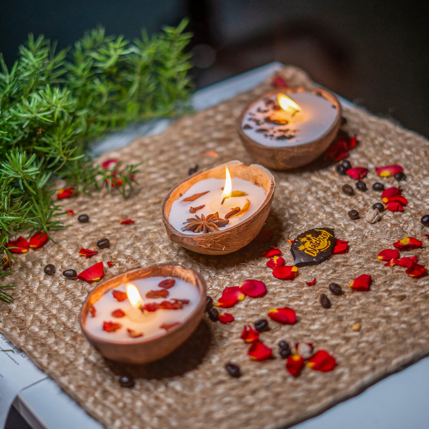 Natchu's Coconut Shell based Candles Mattee Oval (100ml) - Rose, Spices & Coffee Beans Toppings (Set of 1 each)