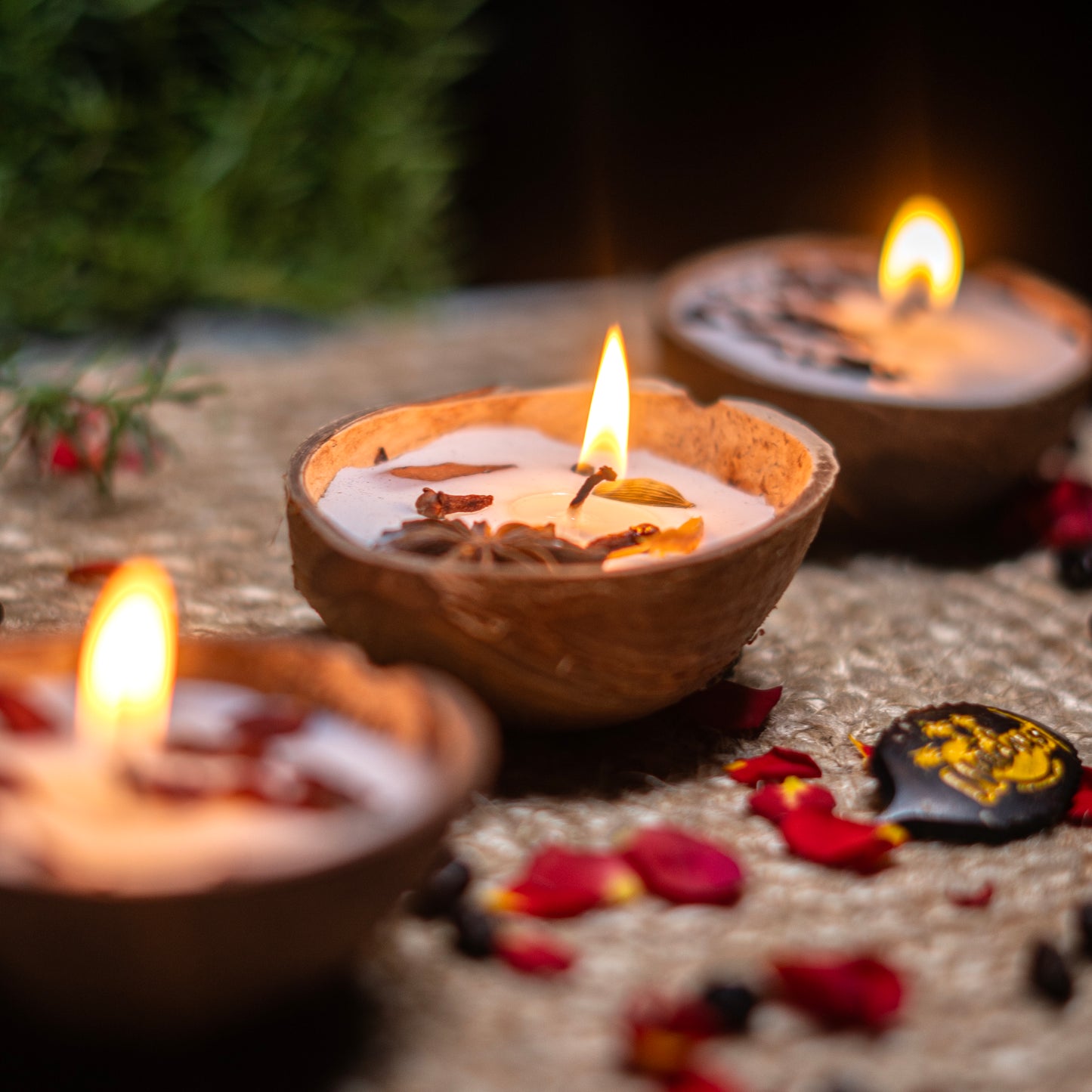 Natchu's Coconut Shell based Candles Mattee Oval (100ml) - Rose, Spices & Coffee Beans Toppings (Set of 1 each)