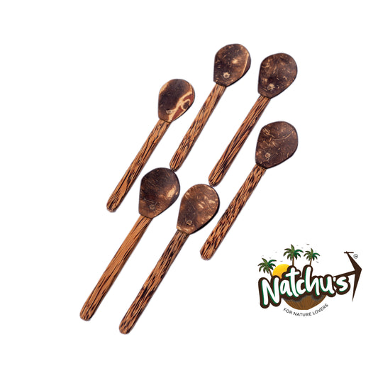 Natchu's Coconut Shell and wood based Masala Spoon (Set of 6)