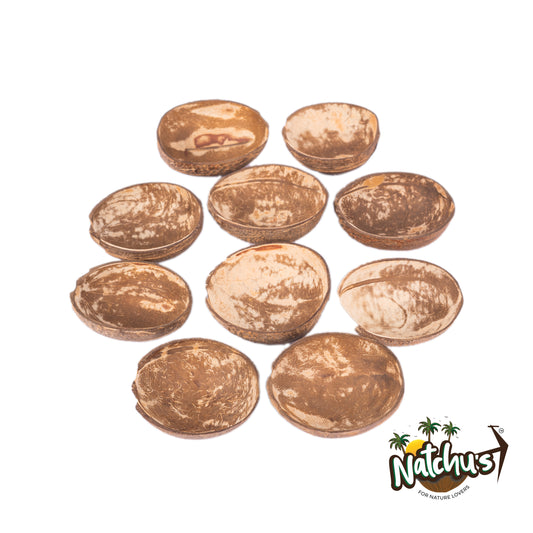 Natchu's Coconut Shell  based Ovel Bowl(150ml) Mattee (Set of 10)