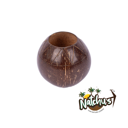 Natchu's Coconut Shell based Indoor Planter Bowl Shape (Set of 1)