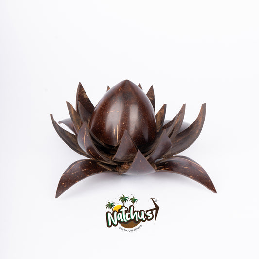 Natchu's Coconut Shell based Lotus Flower (Set of 1)