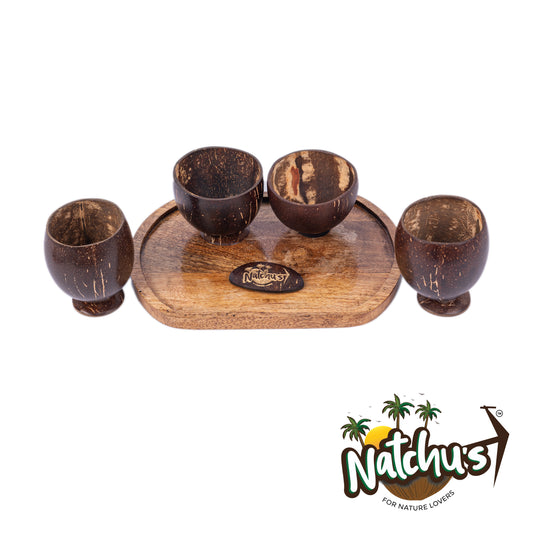 Natchu's Wooden Rectangular Plate(10" *7")(Set of 1) with Juice Cup (250ml) & Shot Glass (200ml)Combo (Set of 2 each)