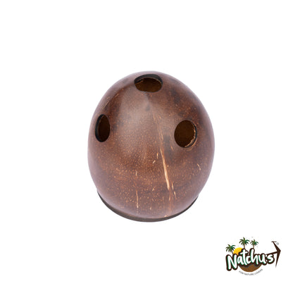 Natchu's Coconut Shell based Tooth Brush Holder (Set of 1)