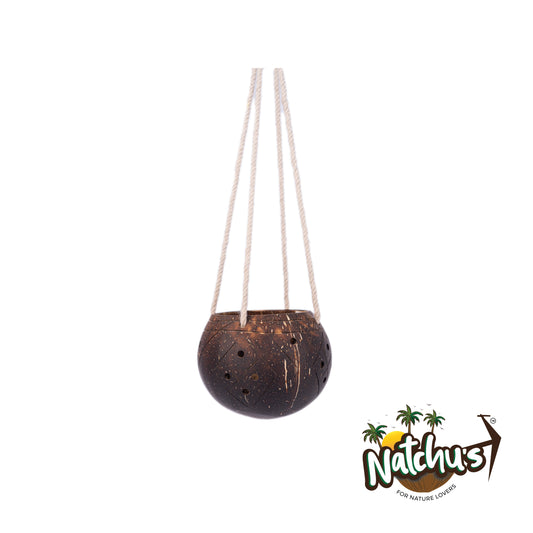 Natchu's Coconut Shell based Outdoor Planter - 1-Tier (Set of 1)
