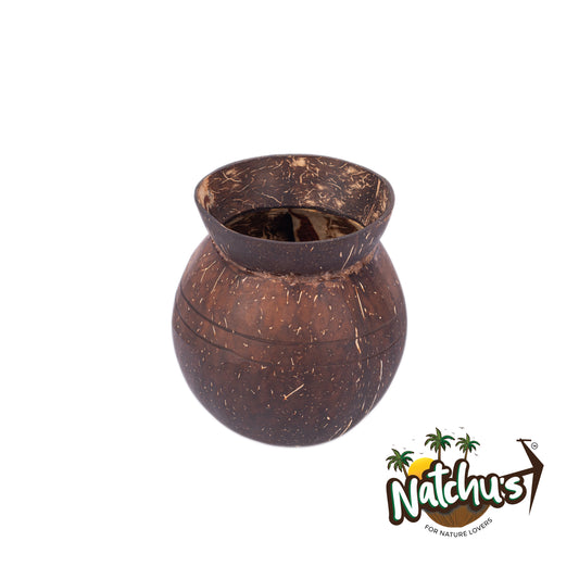 Natchu's Coconut Shell based Indoor Planter Pot Shape (Set of 1)
