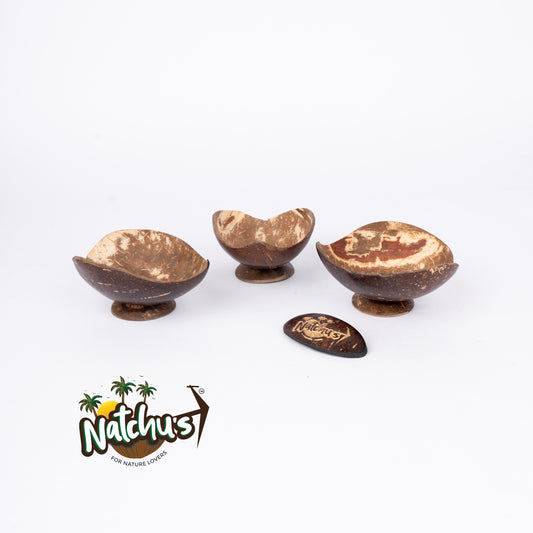 Natchu's Coconut Shell based Soap Tray Leaf Type (Set of 2)