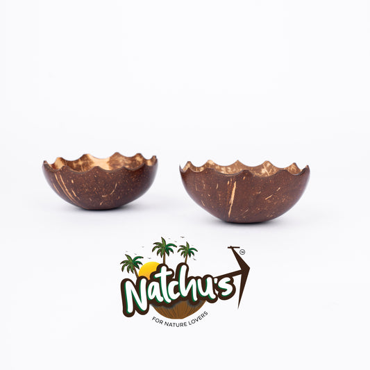 Natchu's Coconut Shell and Wood based Agarbatti Stand & Dhoop Stand Combo (Set of I each)