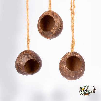 Natchu's Coconut Shell based Bird Feeder & Bird Nest (Set of 1 each)