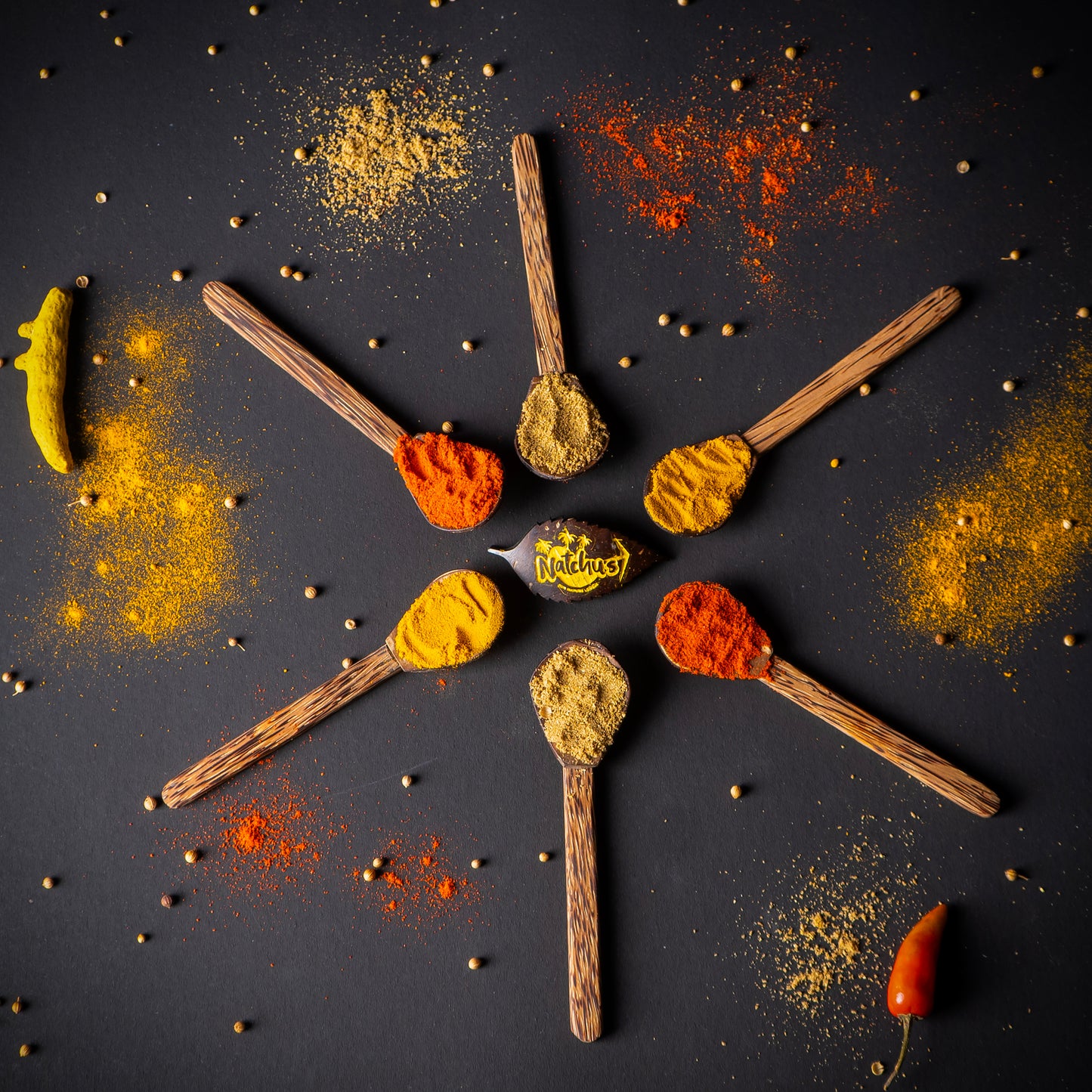 Natchu's Coconut Shell and wood based Masala Spoon (Set of 6)