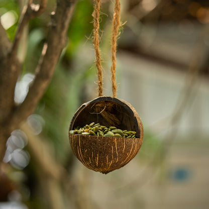 Natchu's Coconut Shell based Bird Feeder & Bird Nest (Set of 1 each)