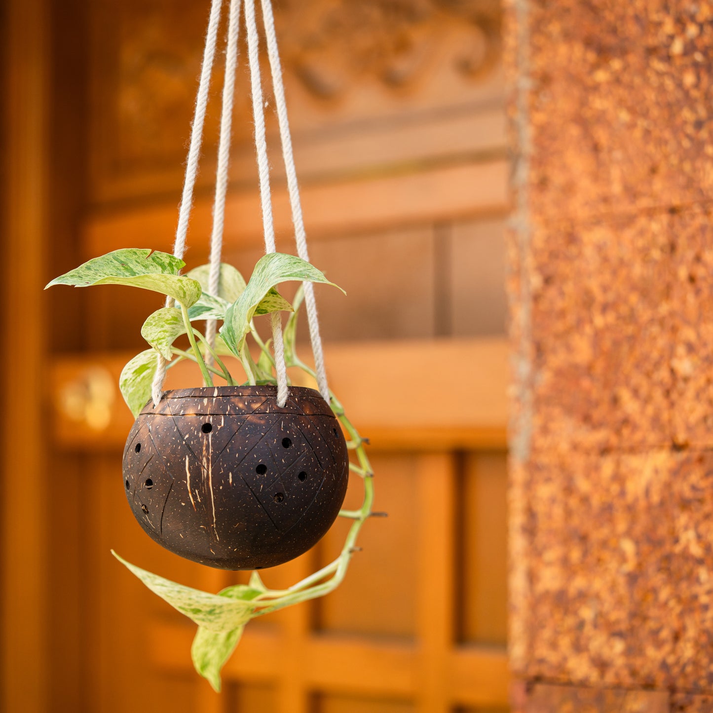 Natchu's Coconut Shell based Outdoor Planter - 1-Tier (Set of 1)