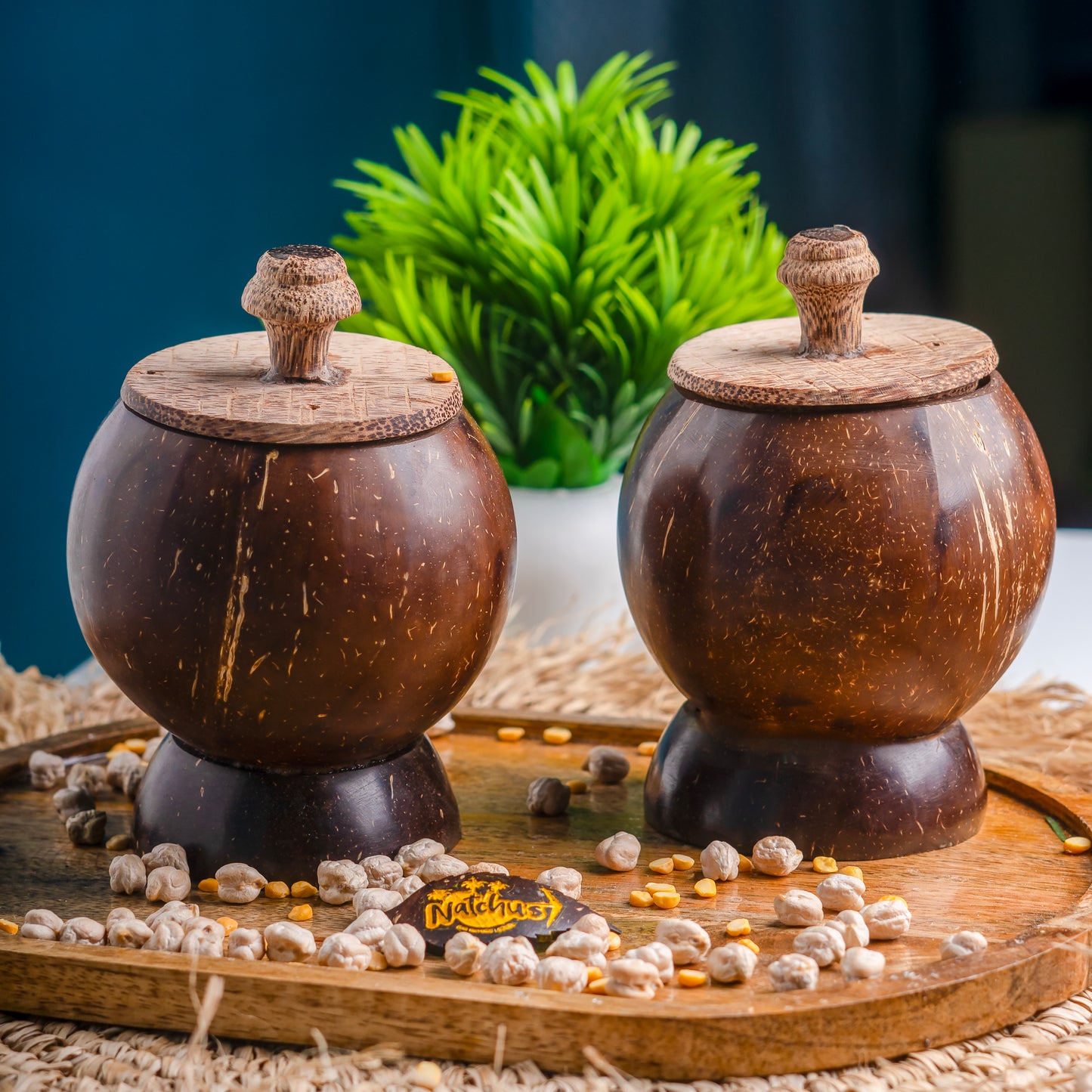 Natchu's Coconut Shell based container with Coconut wood lid (300ml) (Set of 1)