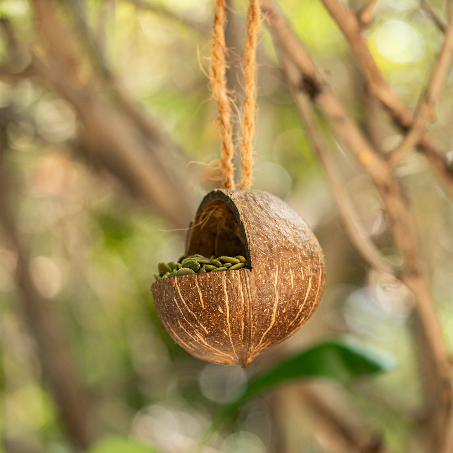 Natchu's Coconut Shell based Bird Feeder & Bird Nest (Set of 1 each)