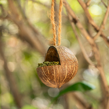 Natchu's Coconut Shell based Bird Feeder & Bird Nest (Set of 1 each)